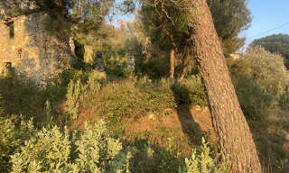 Terrain  831 m² à vendre à Castagniers (06670)