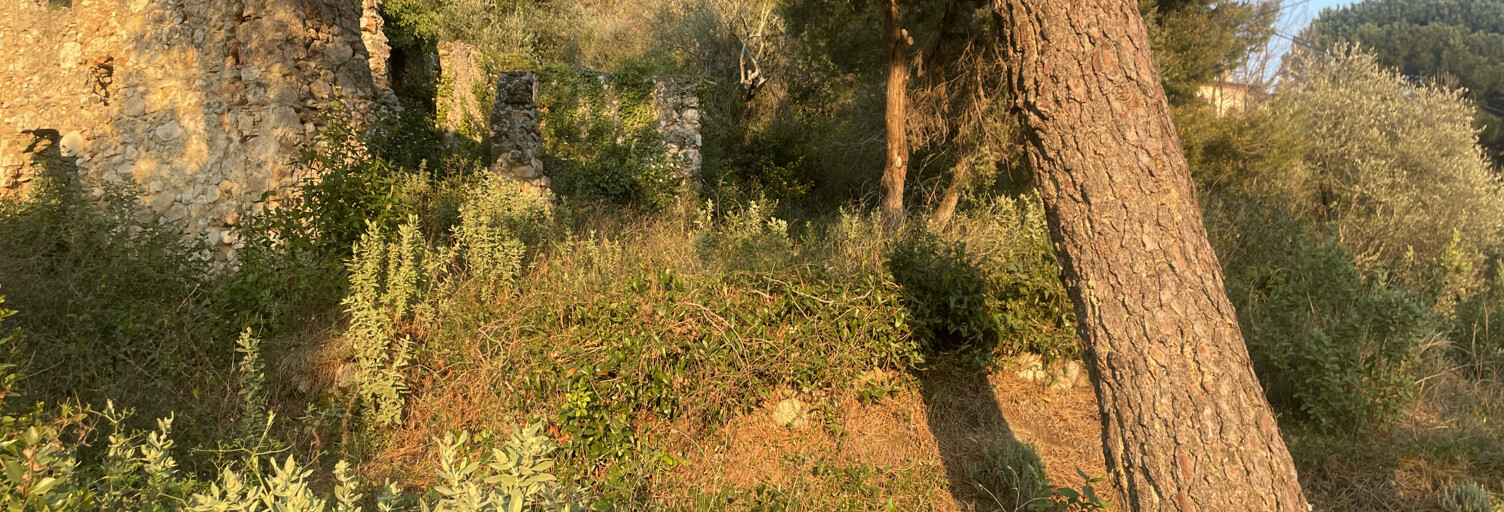 Terrain  831 m² à vendre à Castagniers (06670)