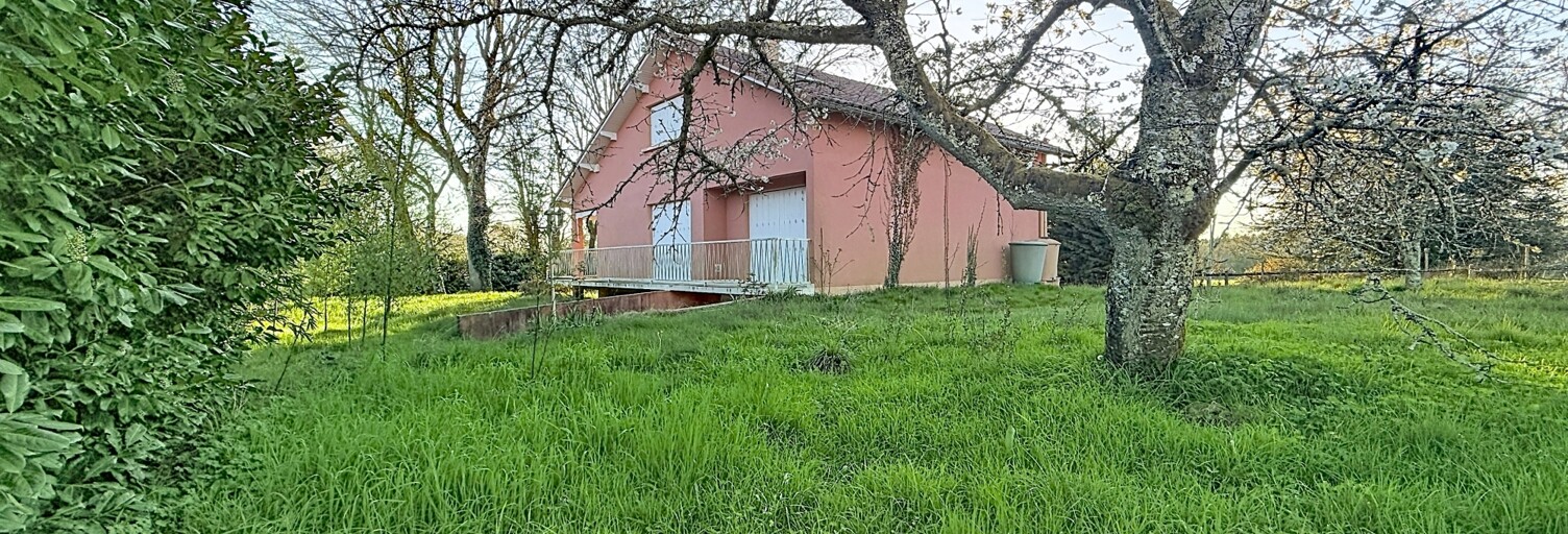 Photo N° 2