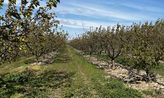 Terrain  103160 m² à vendre à Salses-le-Château (66600)