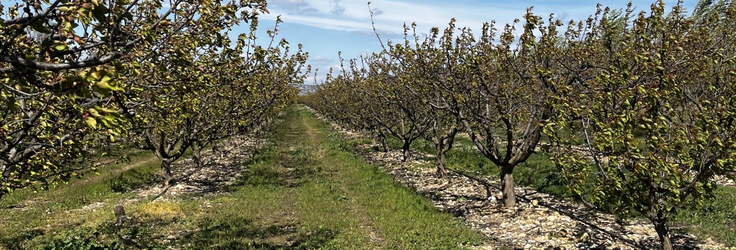 Terrain  103160 m² à vendre à Salses-le-Château (66600)