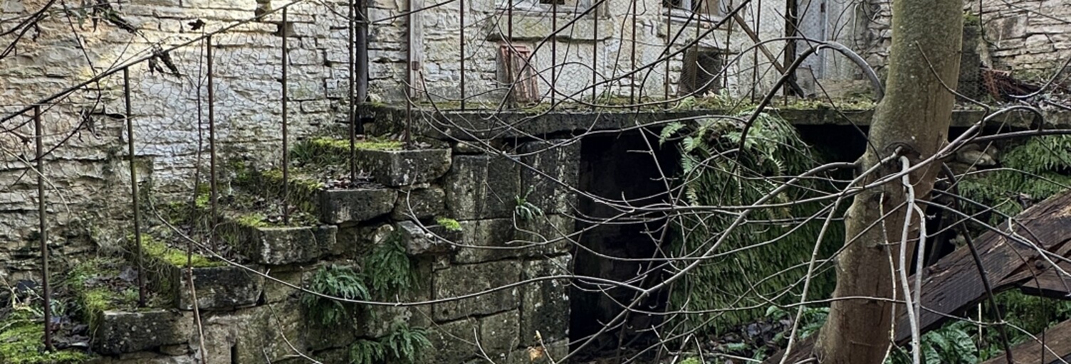 Maison 10 Pièces 187 m² à vendre à Mussy-sur-Seine (10250)