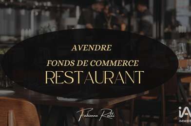 Commerce  699000 €