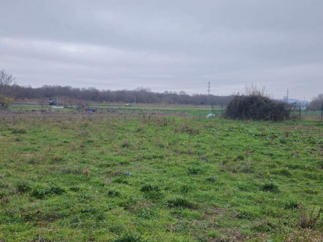 Vente Terrain agricole 49 890 m&sup2; — photo du bien