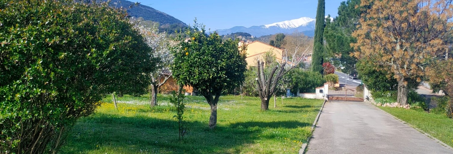 Maison 7 Pièces 236 m² à vendre à Céret (66400)