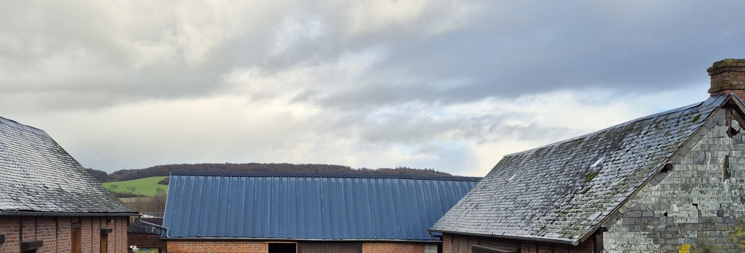 Photo N° 2