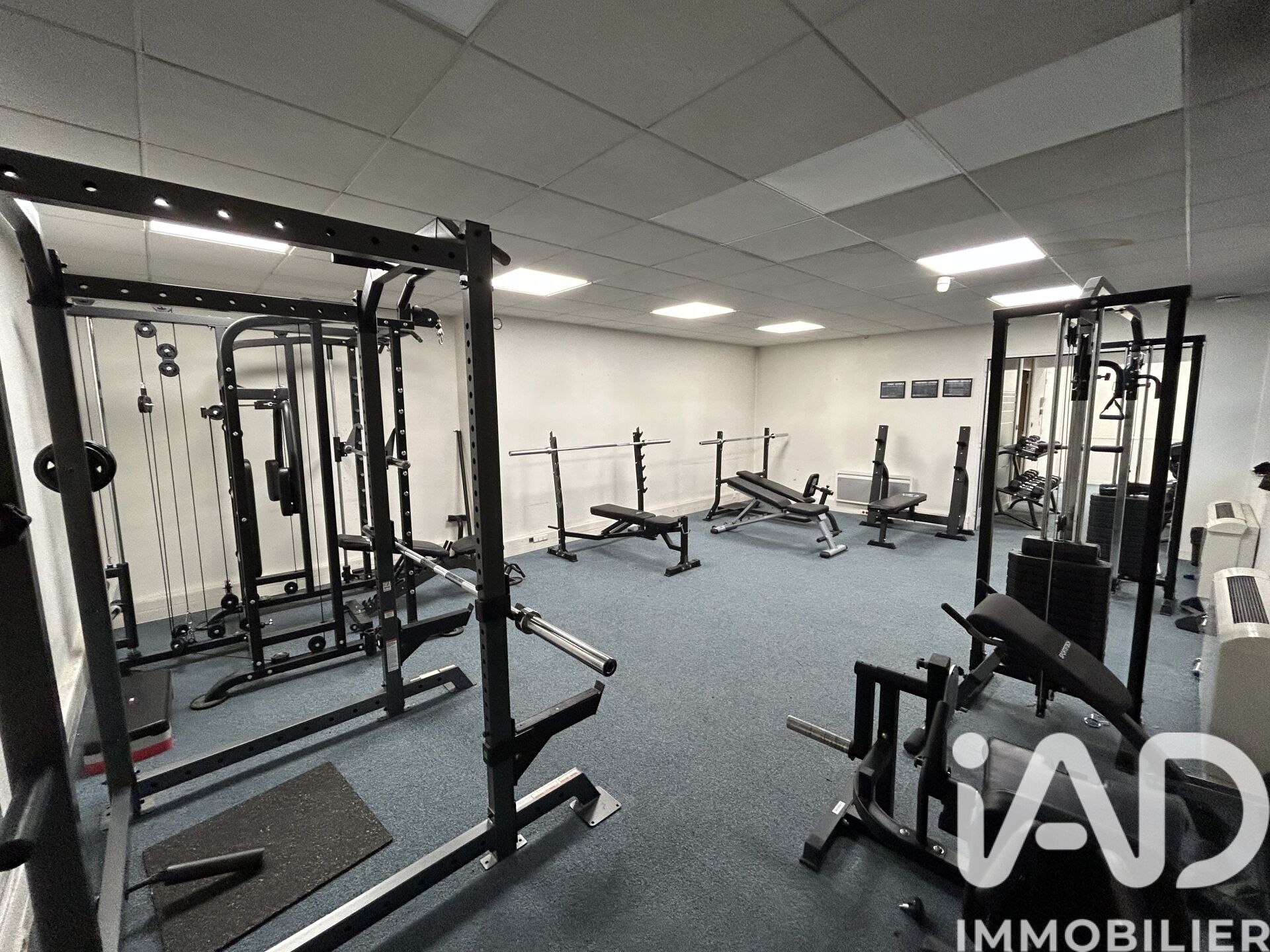 Hauts-De-Bienne - 287m² - 1p.