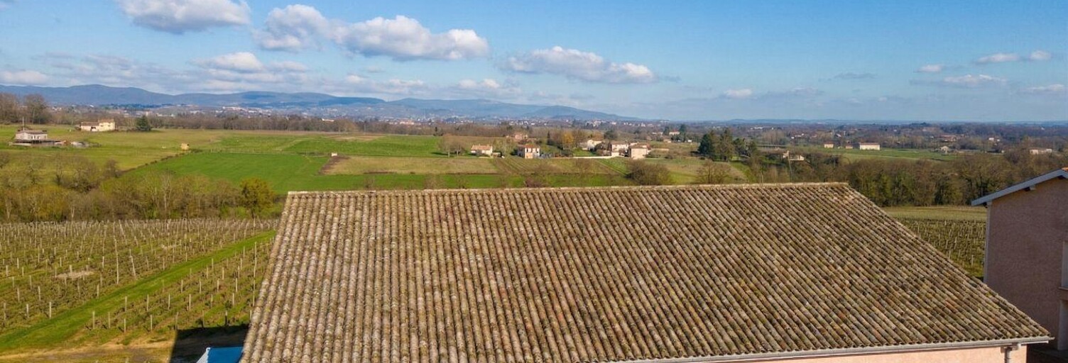 Commerce  400 m² à vendre à Arnas (69400)