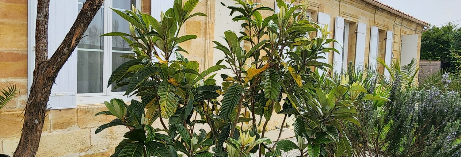 Maison 5 Pièces 148 m² à vendre à Bégadan (33340)