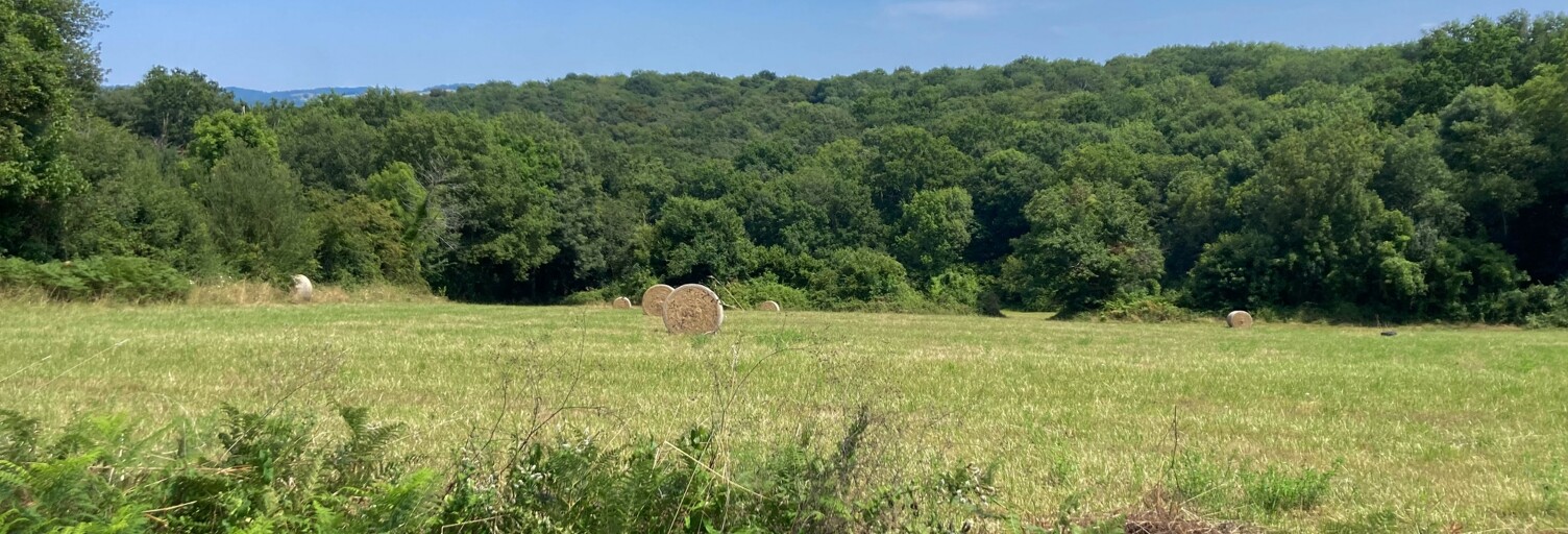 Terrain  2411 m² à vendre à Pouyastruc (65350)