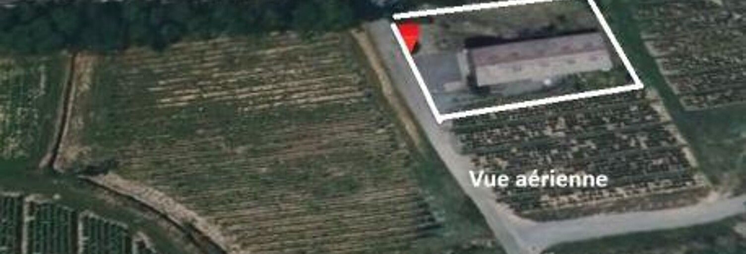 Commerce  500 m² à vendre à Saint-Lager (69220)