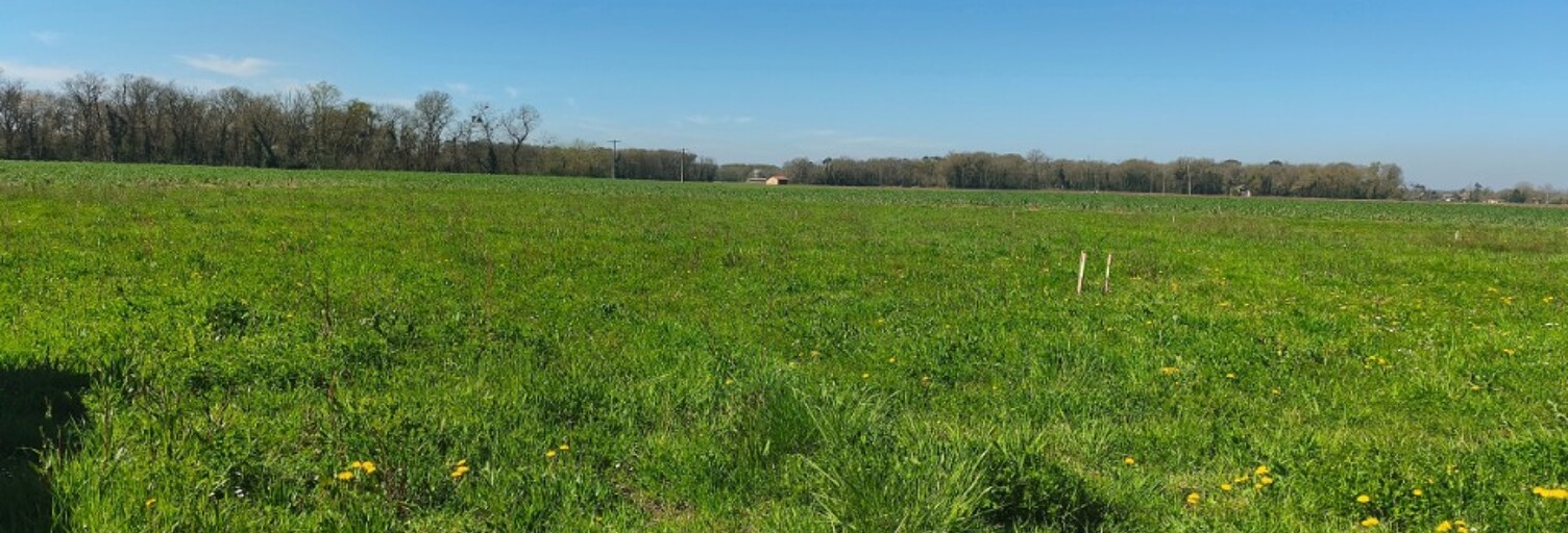 Terrain  845 m² à vendre à Onard (40380)