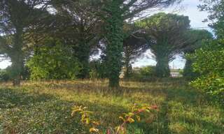 Terrain  1020 m² à vendre à Saint-Maixant (33490)