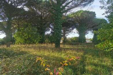 Terrain  69800 €