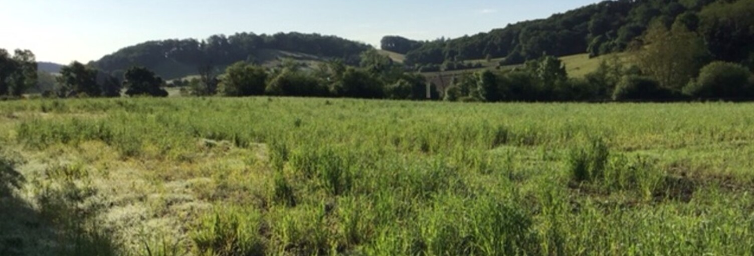 Terrain  750 m² à vendre à Salies-de-Béarn (64270)