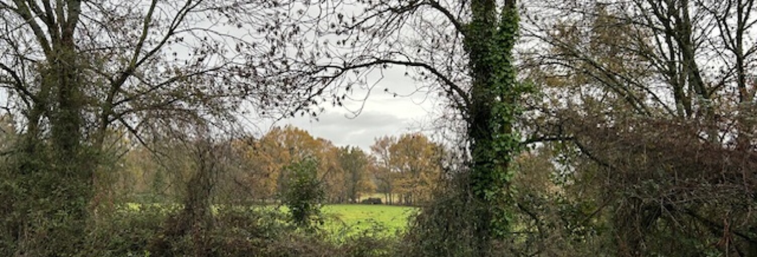 Terrain 425 m² à construire Artigues-près-Bordeaux (33370)