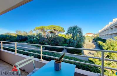 A VENDRE APPARTEMENT 2 CHAMBRES SAINT-TROPEZ — photo du bien