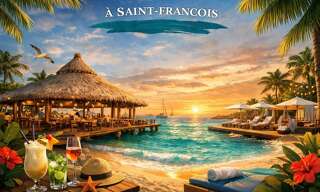 Commerce 1 Pièce 340 m² à vendre à Saint-François (97118)