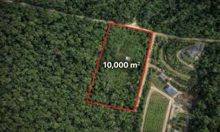 Terrain  10000 m² à vendre à Roura (97311)