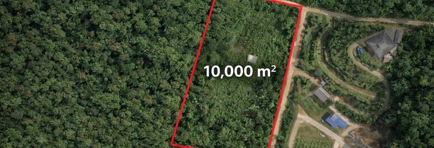 Terrain  10000 m² à vendre à Roura (97311)