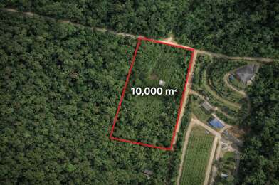 Terrain  100000 €