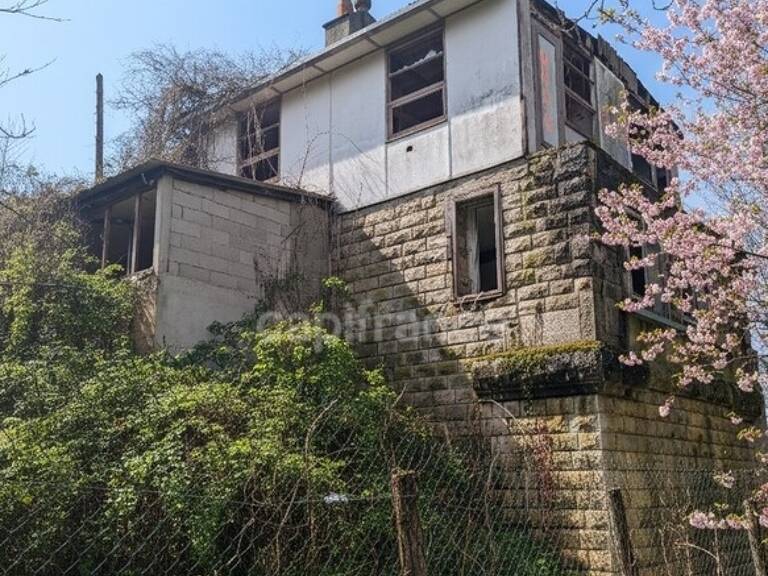 29 000 € FAI – Maison + 4500 m² de terrain à deux pas de l’Abbaye de Pontigny (89) – Opportunité rare ! — photo 1