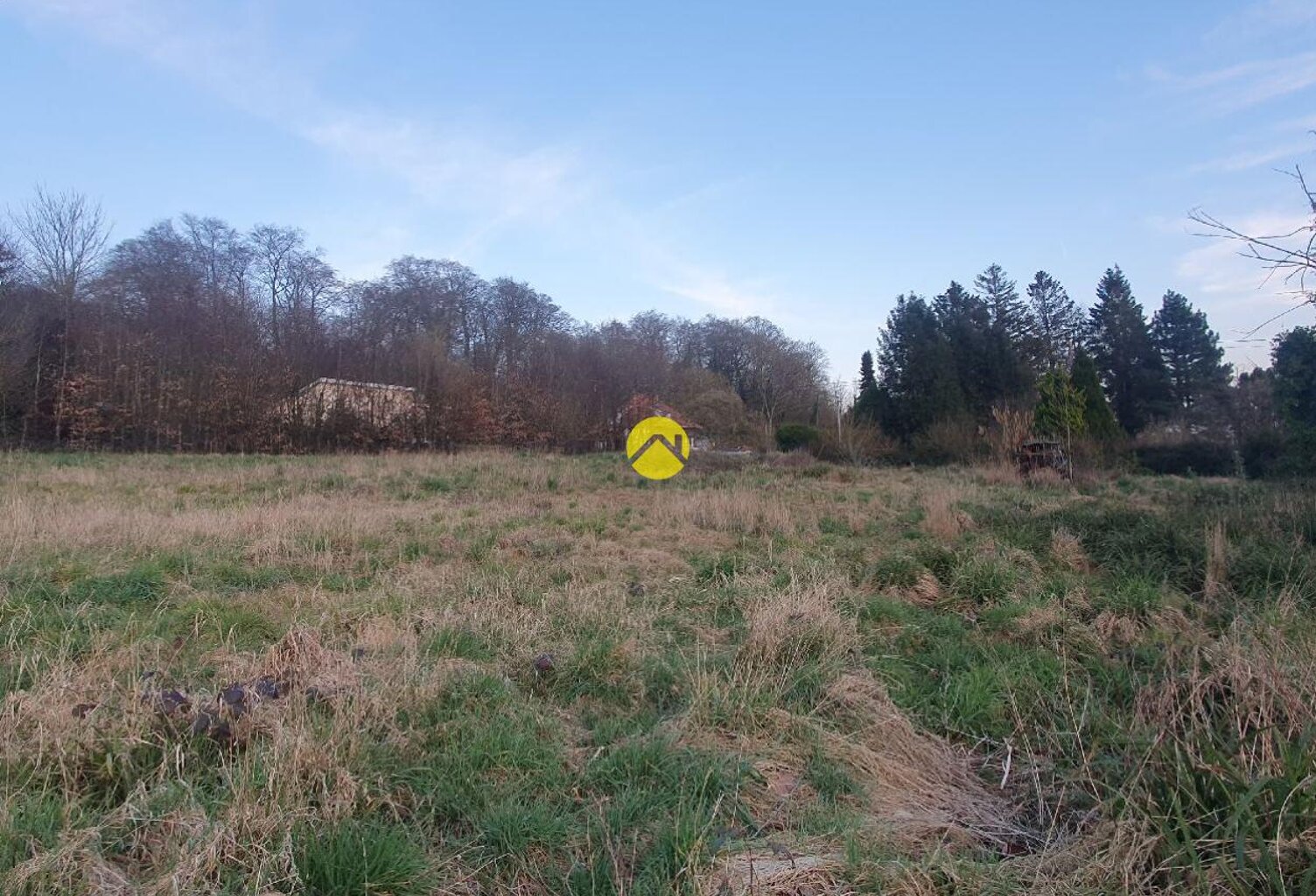 Terrain en bordure de fôret  — photo 1