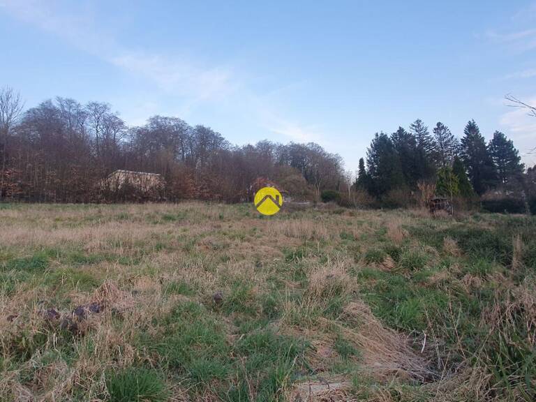 Terrain en bordure de fôret  — photo 1