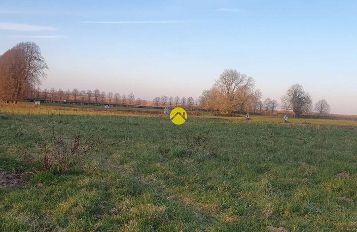 Terrain en bordure de fôret  — photo 3
