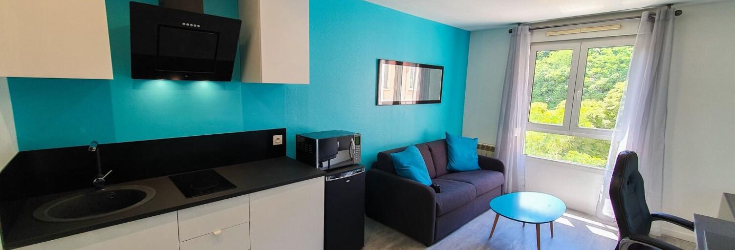 Appartement 1 Pièce 20 m² à louer à Lyon 4 (69004)