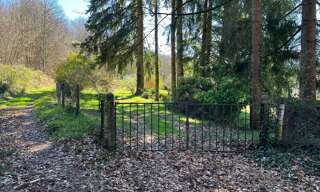 Maison  7754 m² à vendre à Saint-Jouvent (87510)