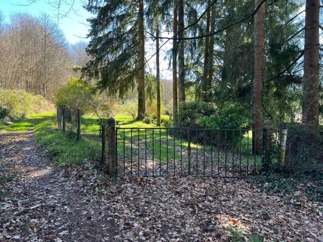 Terrain de Loisirs – 7 700 m² avec Dépendance et Puits – St-Jouvent — photo du bien