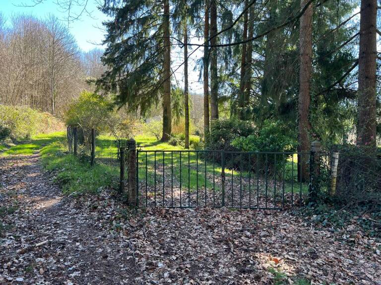 Terrain de Loisirs – 7 700 m² avec Dépendance et Puits – St-Jouvent — photo 1