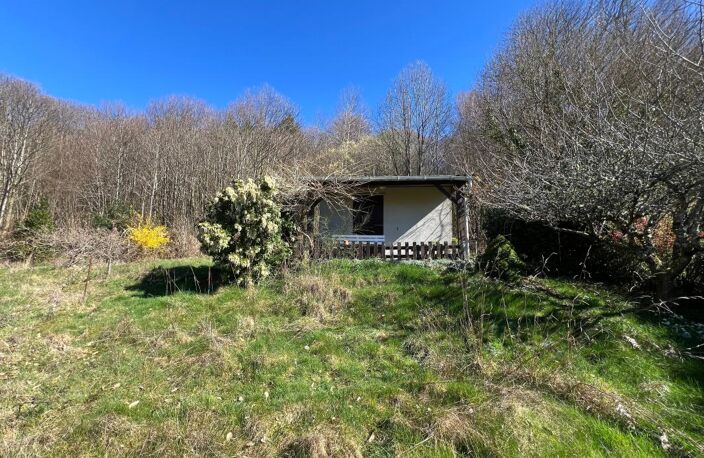 Terrain de Loisirs – 7 700 m² avec Dépendance et Puits – St-Jouvent — photo 2