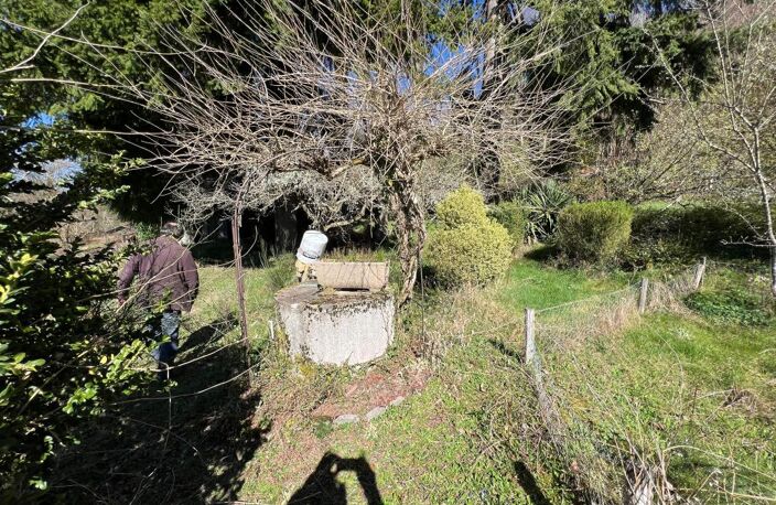 Terrain de Loisirs – 7 700 m² avec Dépendance et Puits – St-Jouvent — photo 4