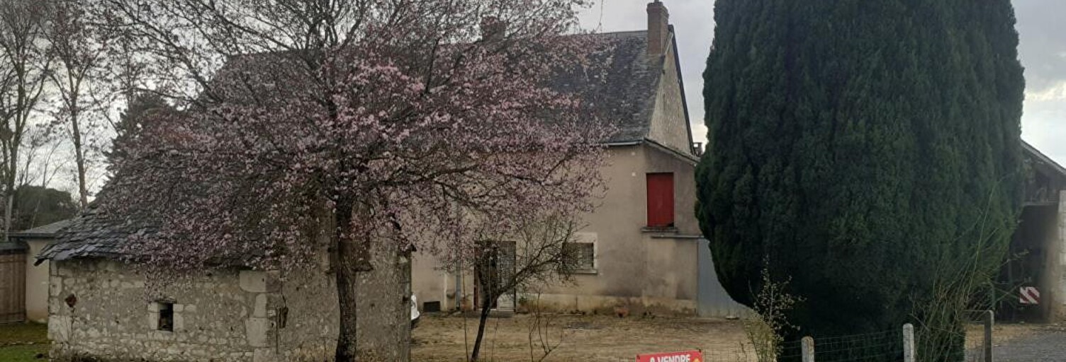 Maison 3 Pièces 60 m² à vendre à Baugé-en-Anjou (49150)