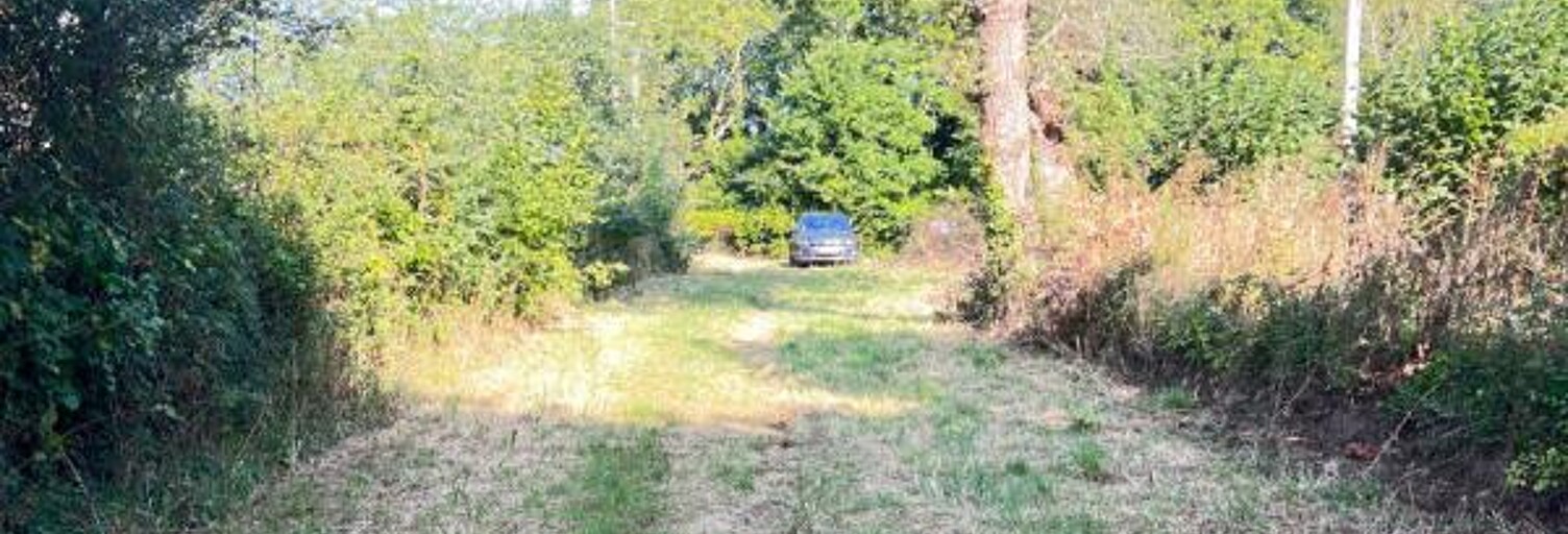 Terrain  1001 m² à vendre à Sarzeau (56370)