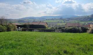 Terrain  1514 m² à vendre à Cogny (69640)