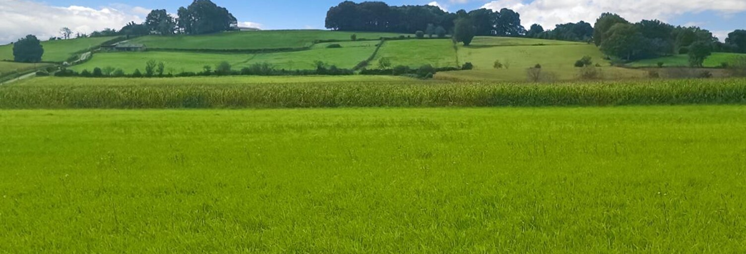 Terrain  5000 m² à vendre à Labastide-Villefranche (64270)