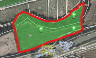 Terrain  23705 m² à vendre à Blomac (11700)