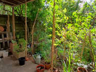 VIAGER OCCUPE SANS RENTE. Rez-de-jardin Montchat — photo 3