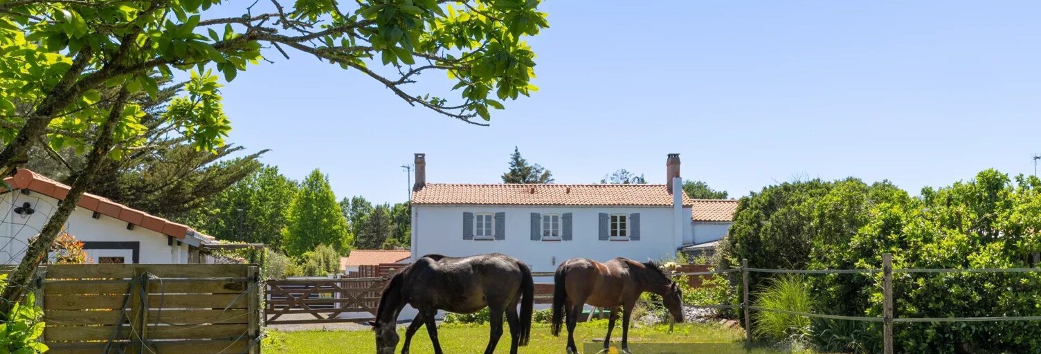 Maison 10 Pièces 175 m² à vendre à Challans (85300)