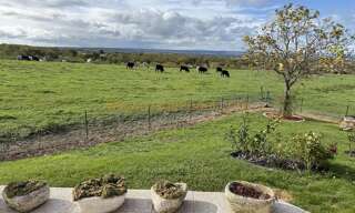 Maison 101 m² en viager Néris-les-Bains (03310)