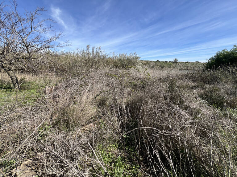 TERRAIN DE LOISIRS — photo 1