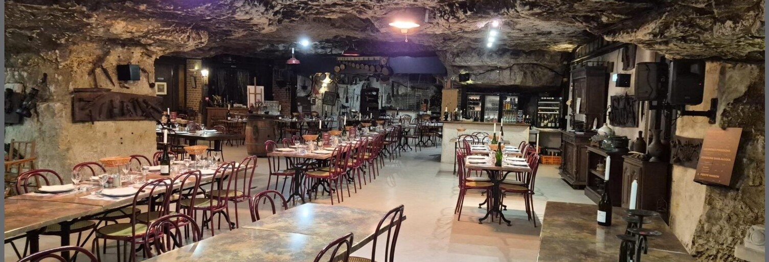 Commerce 8 Pièces 880 m² à vendre à Amboise (37400)