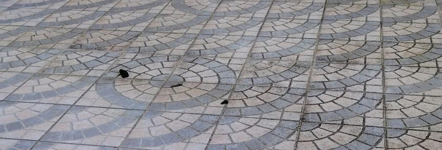 Appartement 8 Pièces 220 m² à vendre à Raon-l'Étape (88110)