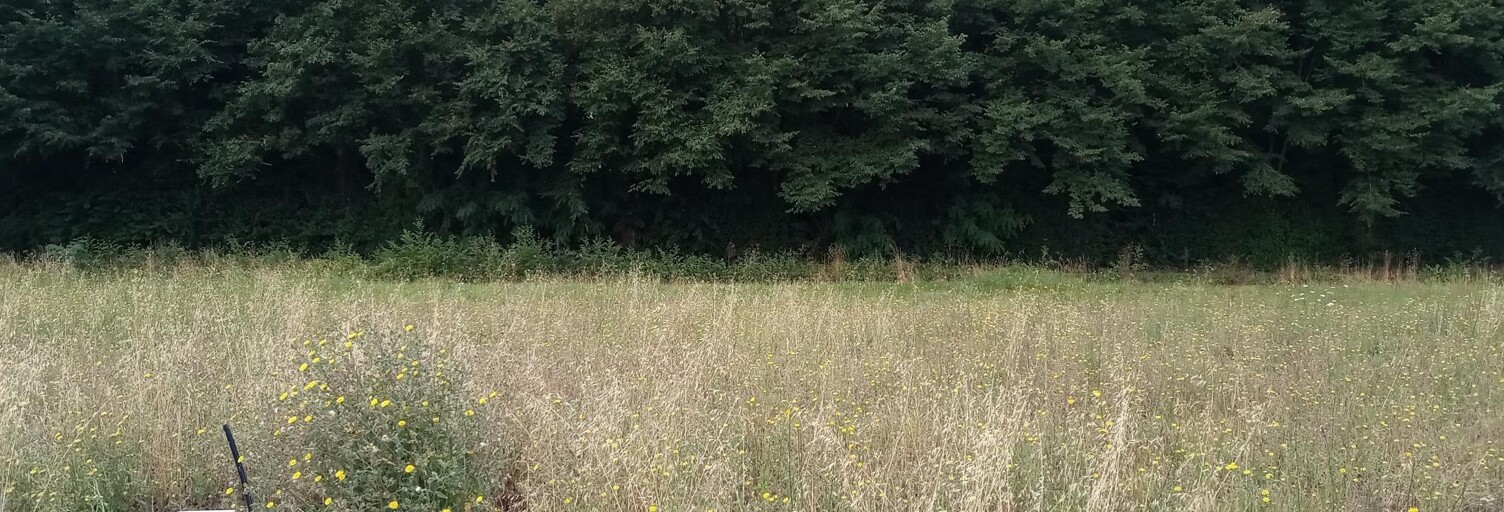 Terrain  782 m² à vendre à Montpellier-de-Médillan (17260)