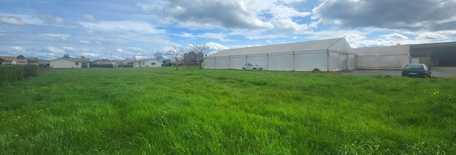 Commerce 1 Pièce 4000 m² à vendre à Castets et Castillon (33210)