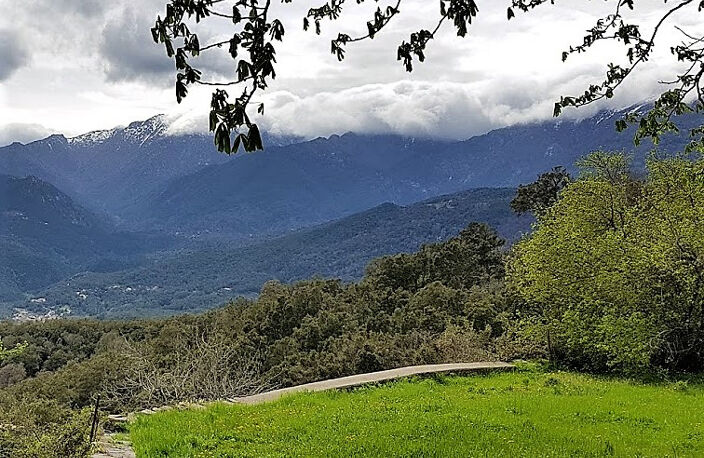 A SAISIR TERRAIN DE 215m2 A VENDRE A PRUNELLI DI FIUMORBO! — photo 2
