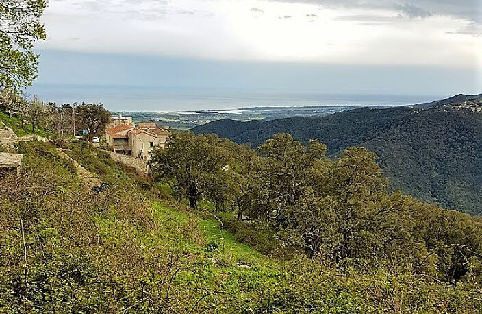 A SAISIR TERRAIN DE 215m2 A VENDRE A PRUNELLI DI FIUMORBO! — photo 3